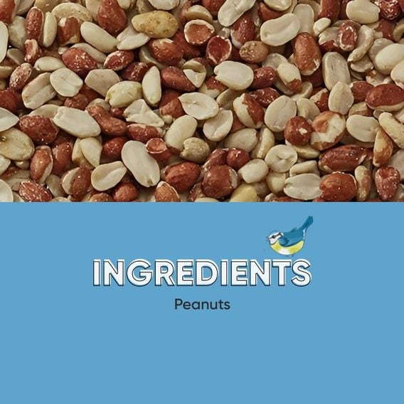 Happy Beaks - Peanut Splits